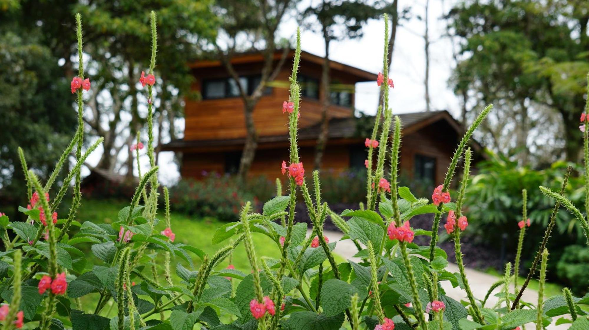 Lucero Golf And Country Club Tree Houses Boquete Exterior foto